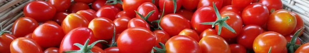 tomato