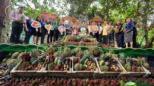 Fruit Festival Traditions All Over Thailand