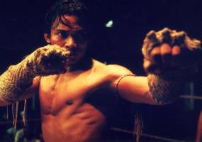 Muay Thai in Thai and International Cinema